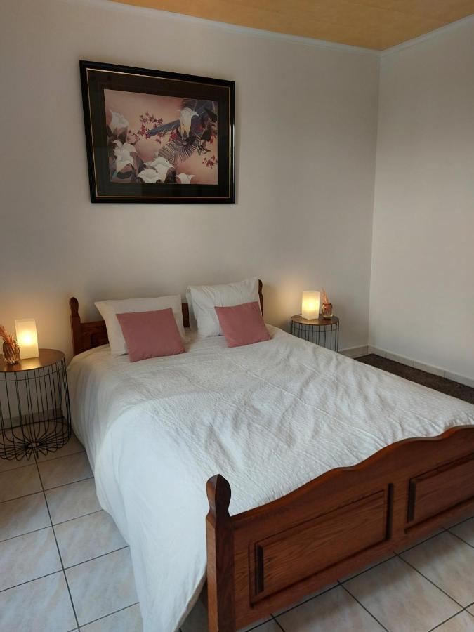 Visé Appartement Rdc Plein Centre Avec Terrasse מראה חיצוני תמונה