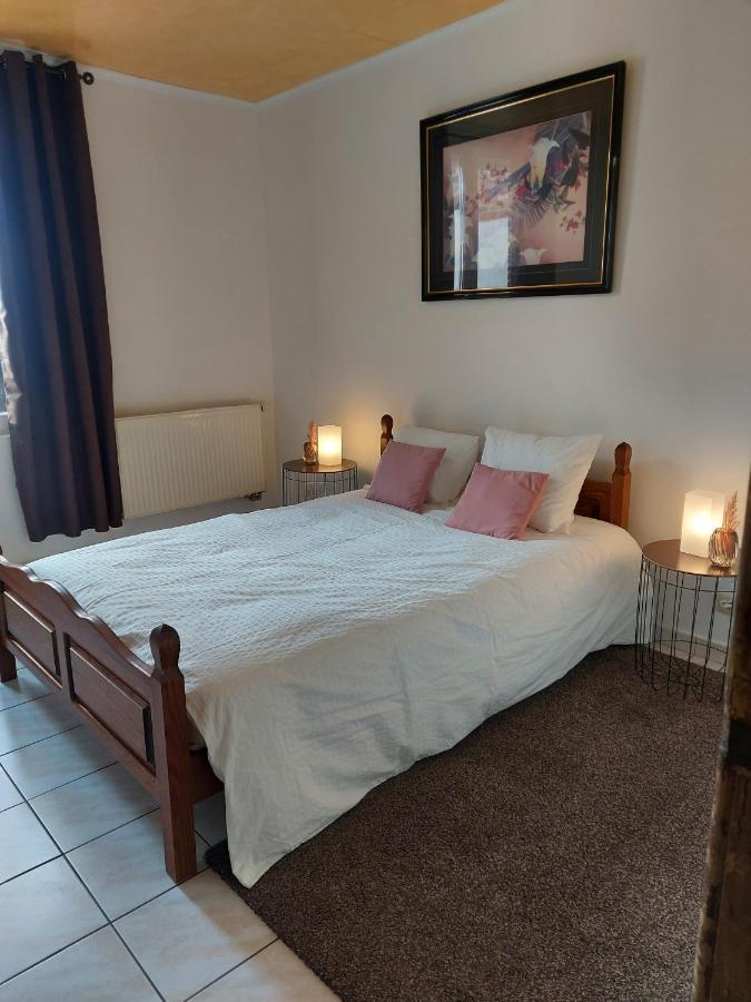 Visé Appartement Rdc Plein Centre Avec Terrasse מראה חיצוני תמונה