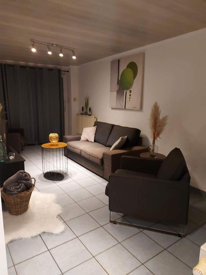 Visé Appartement Rdc Plein Centre Avec Terrasse מראה חיצוני תמונה